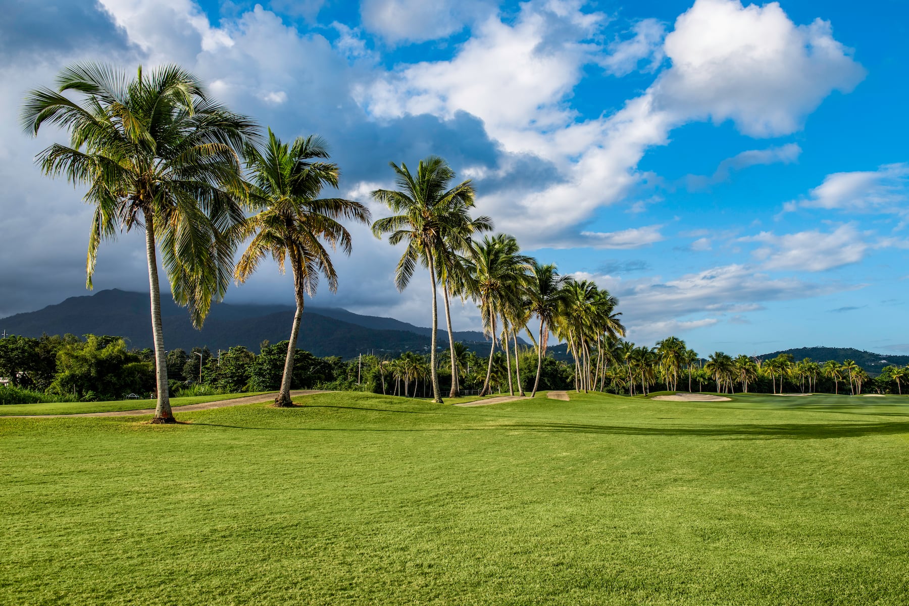 Golf course at Wyndham Grand Rio Mar Rainforest Beach and Golf Resort in Rio Grande, Other than US/Canada