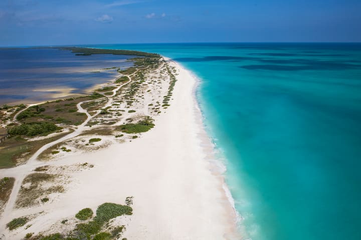 Beach near TRS Coral Costa Mujeres, a Registry Collection Hotel in Cancun, Other than US/Canada