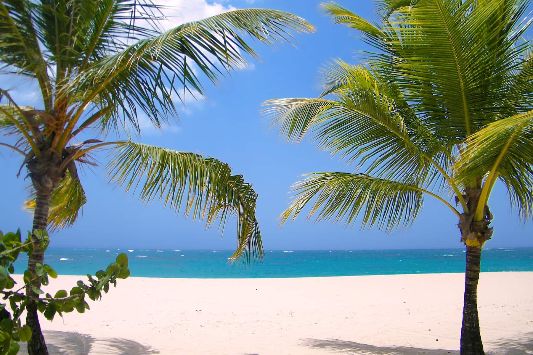 Beach near Viva Heavens by Wyndham, A Trademark All Inclusive in Puerto Plata, Other than US/Canada