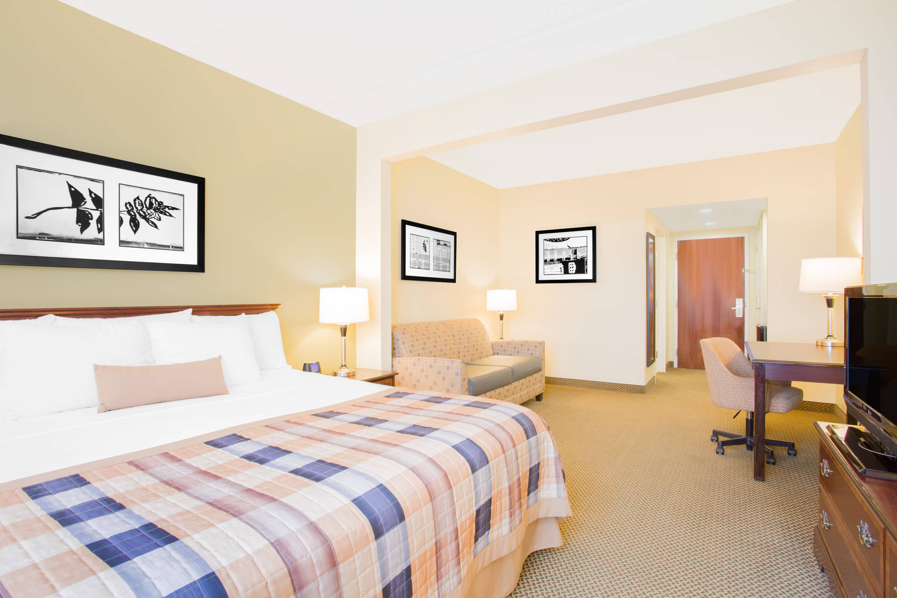 Wingate By Wyndham Rock Hill Charlotte Metro Area Rock Hill SC   07763 Guest Room 10 